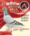 图片暂时未上传
