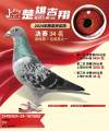 图片暂时未上传