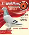 图片暂时未上传