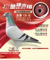 图片暂时未上传