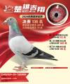 图片暂时未上传