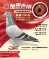 图片暂时未上传