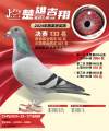 图片暂时未上传