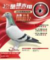 图片暂时未上传