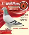 图片暂时未上传