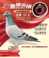 图片暂时未上传
