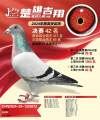 图片暂时未上传