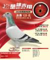 图片暂时未上传