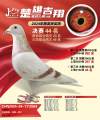 图片暂时未上传