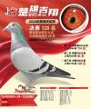 图片暂时未上传