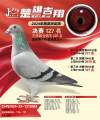 图片暂时未上传