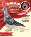 图片暂时未上传