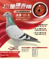 图片暂时未上传