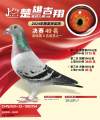 图片暂时未上传