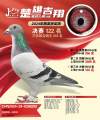 图片暂时未上传