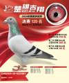 图片暂时未上传