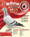 图片暂时未上传
