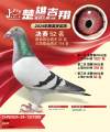 图片暂时未上传
