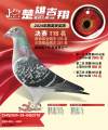 图片暂时未上传