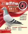 图片暂时未上传