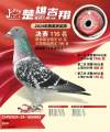 图片暂时未上传