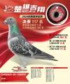 图片暂时未上传