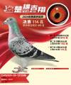 图片暂时未上传