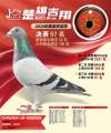 图片暂时未上传