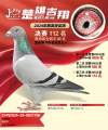 图片暂时未上传