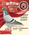 图片暂时未上传