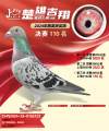 图片暂时未上传