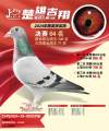图片暂时未上传