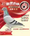 图片暂时未上传