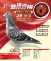 图片暂时未上传