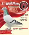 图片暂时未上传
