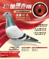 图片暂时未上传