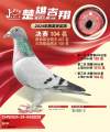 图片暂时未上传