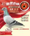 图片暂时未上传