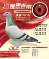 图片暂时未上传