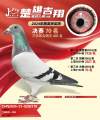 图片暂时未上传