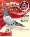图片暂时未上传