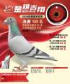 图片暂时未上传