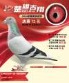 图片暂时未上传