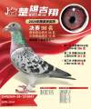 图片暂时未上传