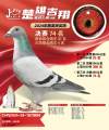 图片暂时未上传