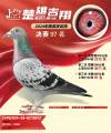 图片暂时未上传