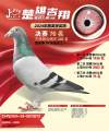 图片暂时未上传