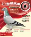 图片暂时未上传