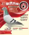 图片暂时未上传