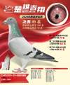 图片暂时未上传